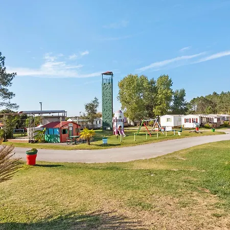 T2 I - 15 Min From Nazare 木屋 *